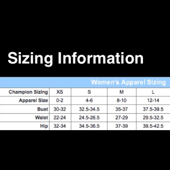 LAST 1**Champion Cropped Hoodie - Picture 3 of 3